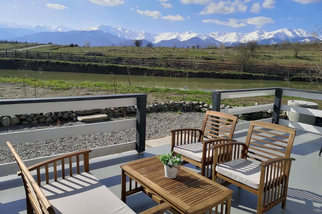 Linistea Muntilor Chalet 포룸바쿠 데 수스 외부 사진