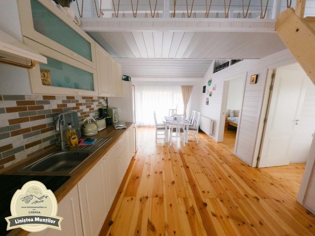 Linistea Muntilor Chalet 포룸바쿠 데 수스 외부 사진