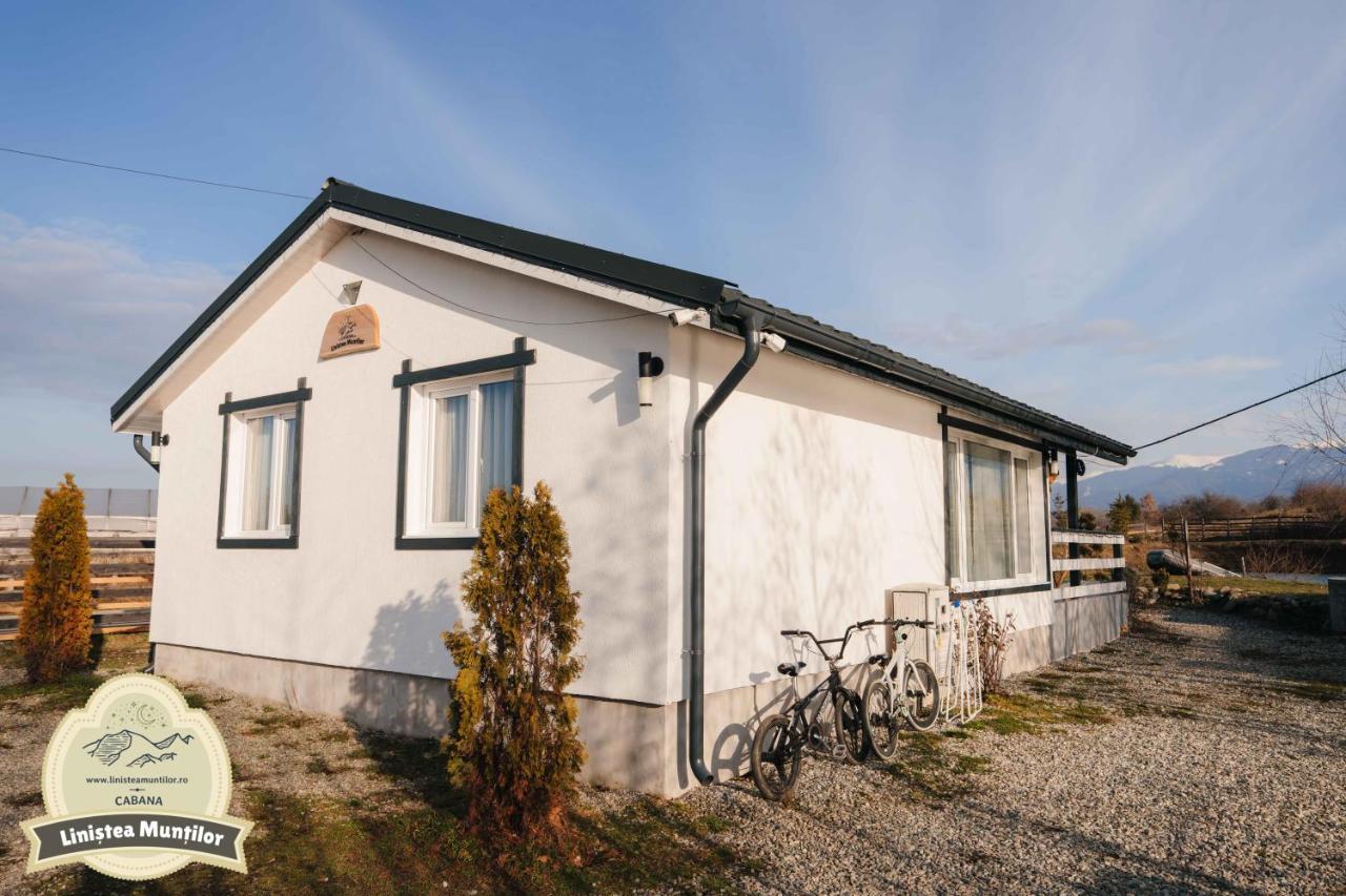Linistea Muntilor Chalet 포룸바쿠 데 수스 외부 사진