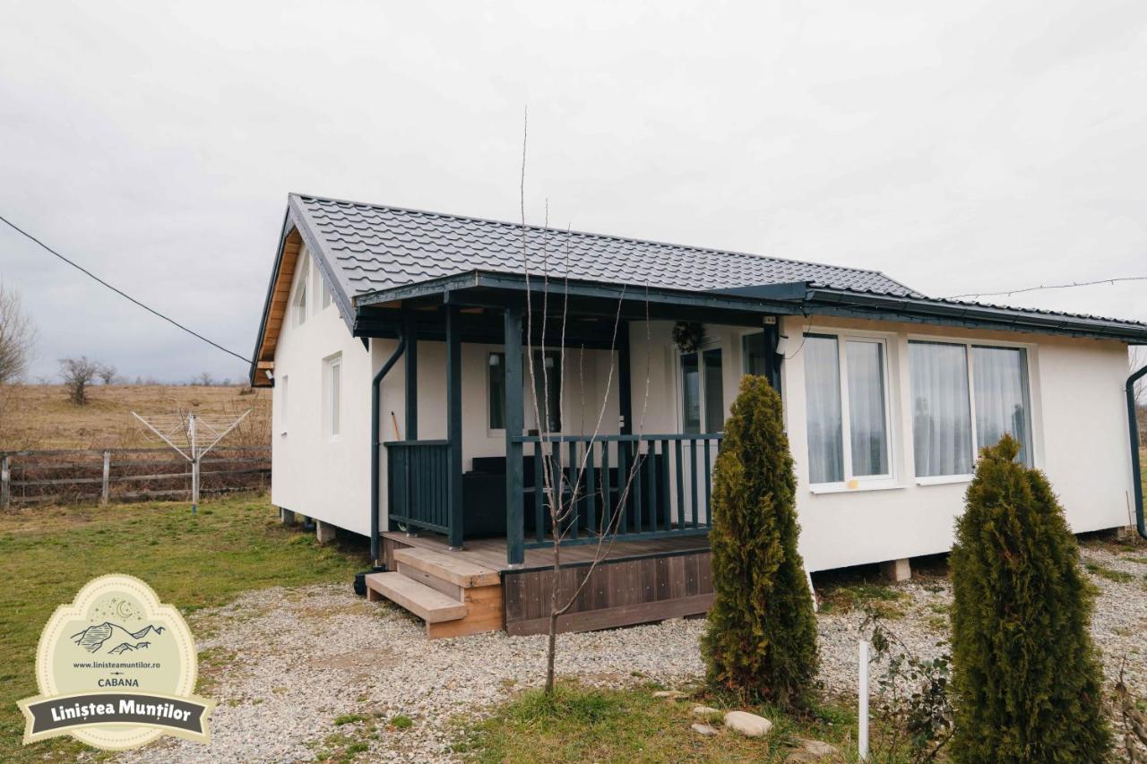 Linistea Muntilor Chalet 포룸바쿠 데 수스 외부 사진