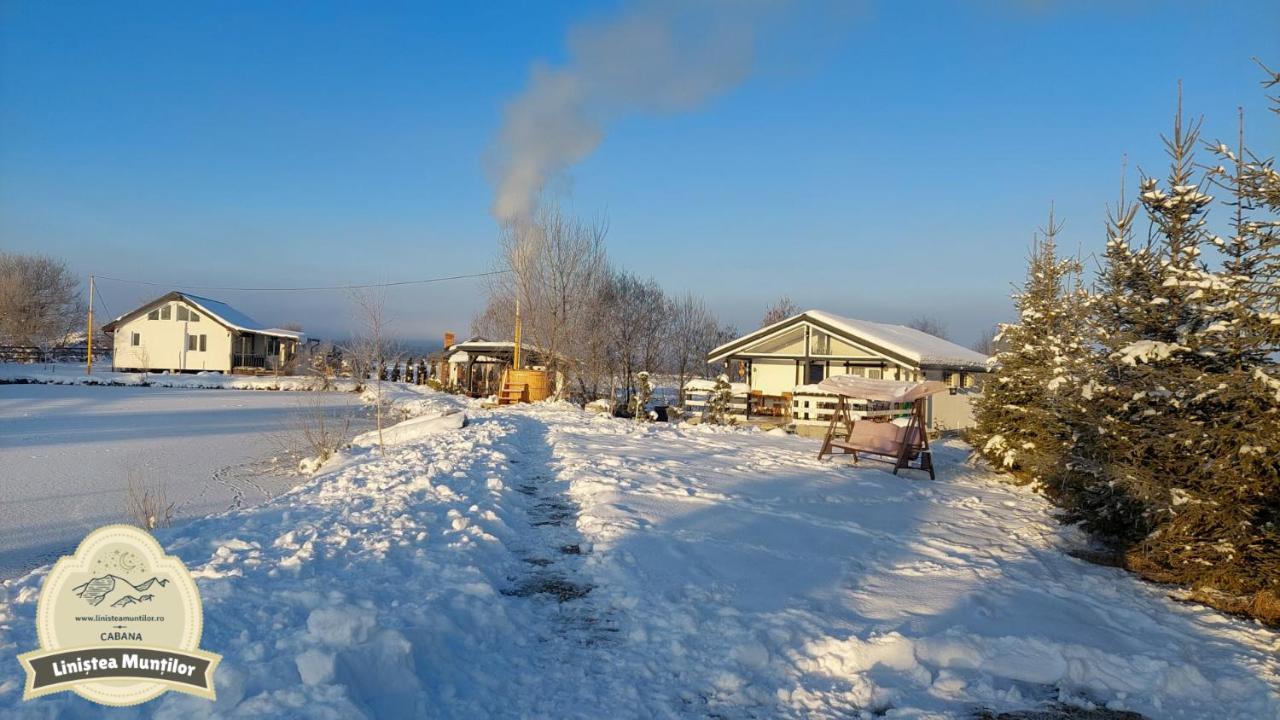 Linistea Muntilor Chalet 포룸바쿠 데 수스 외부 사진