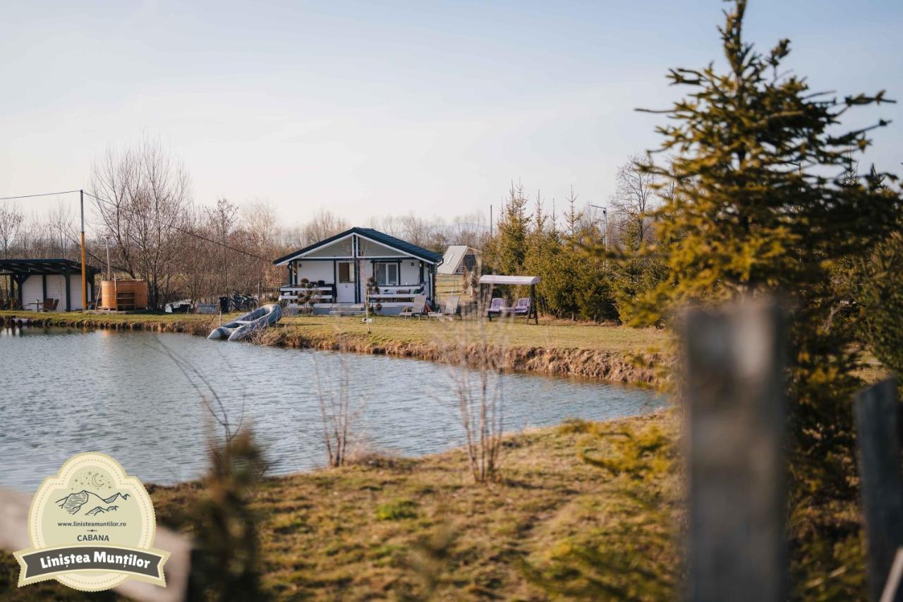 Linistea Muntilor Chalet 포룸바쿠 데 수스 외부 사진