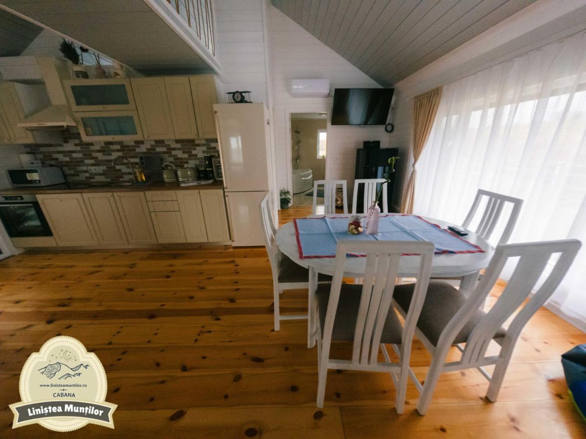 Linistea Muntilor Chalet 포룸바쿠 데 수스 외부 사진