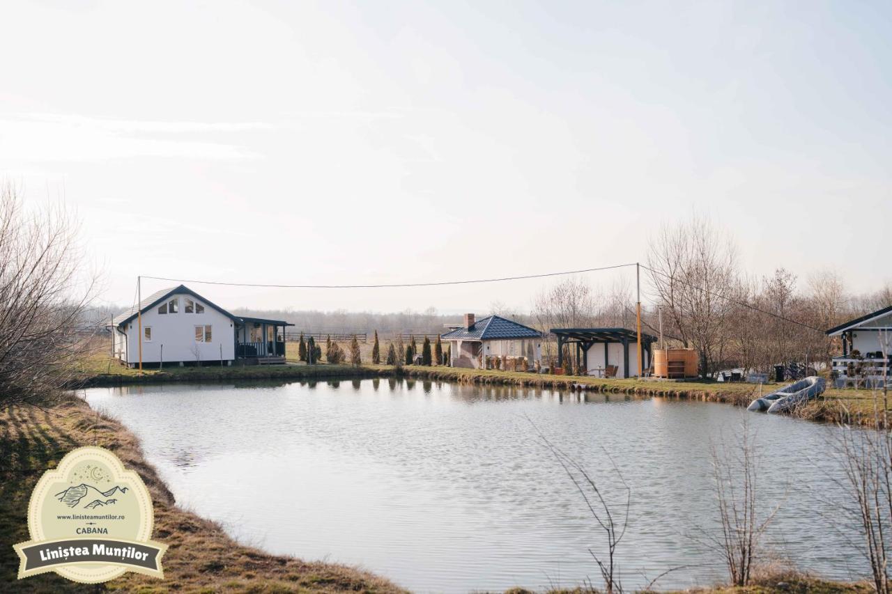 Linistea Muntilor Chalet 포룸바쿠 데 수스 외부 사진