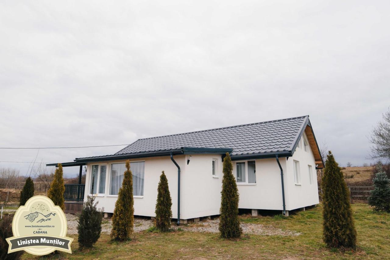Linistea Muntilor Chalet 포룸바쿠 데 수스 외부 사진