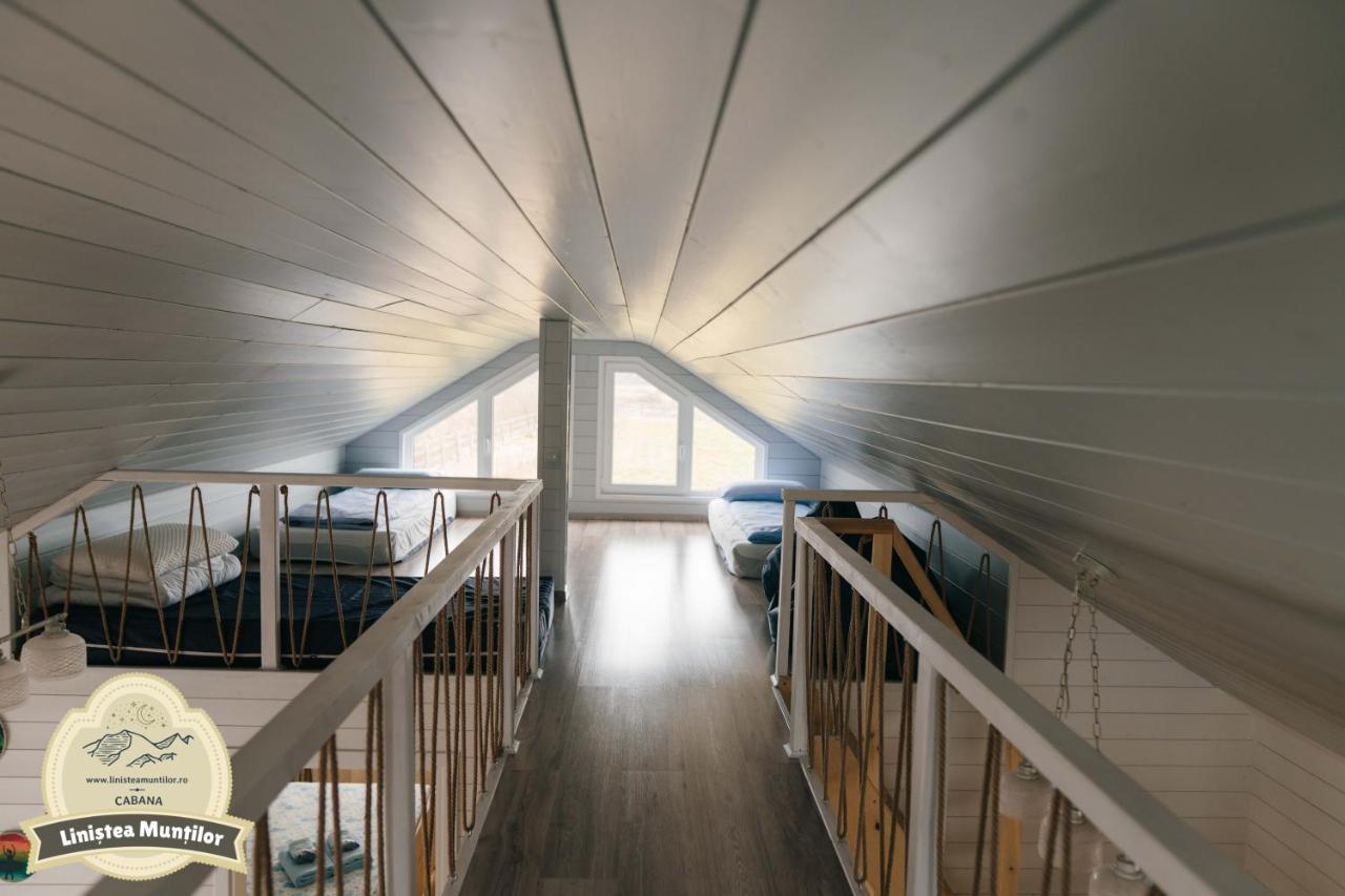Linistea Muntilor Chalet 포룸바쿠 데 수스 외부 사진