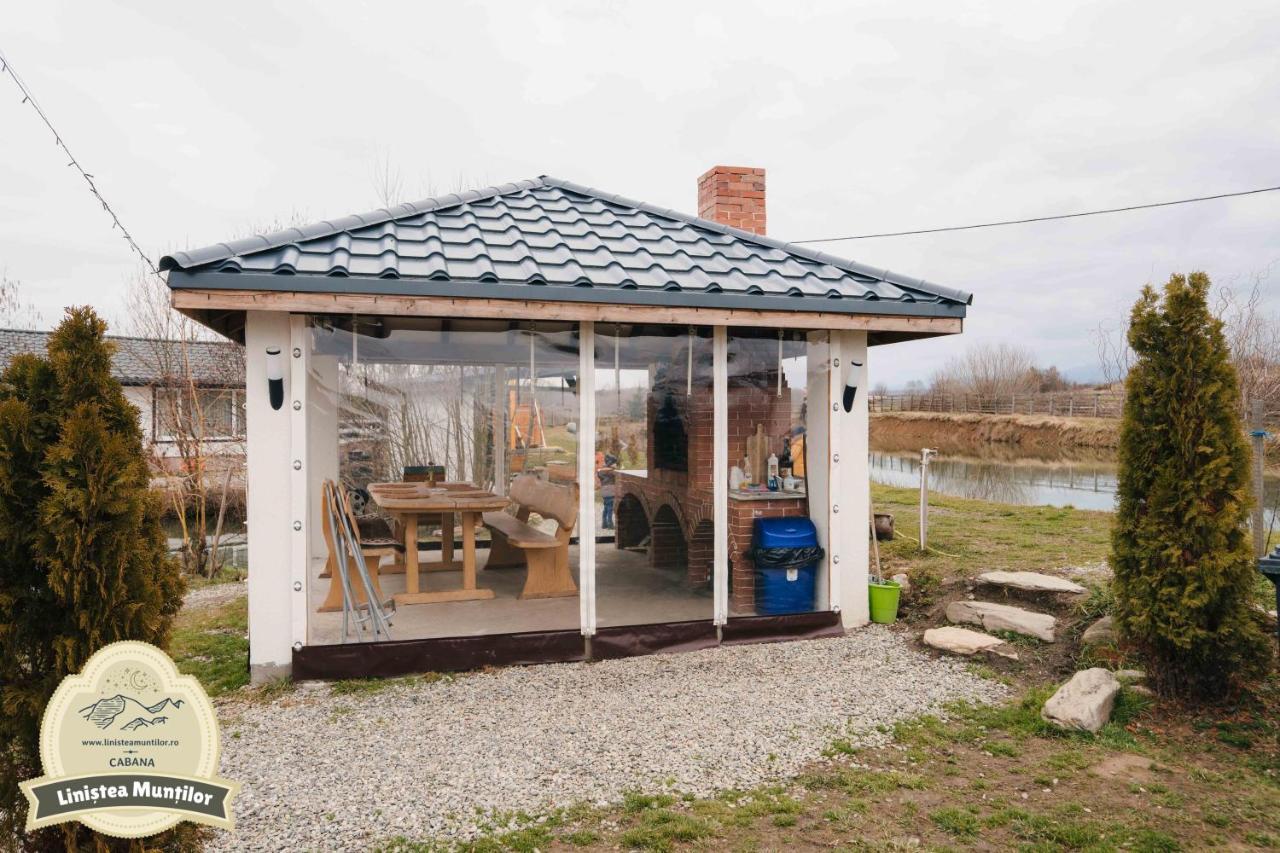 Linistea Muntilor Chalet 포룸바쿠 데 수스 외부 사진