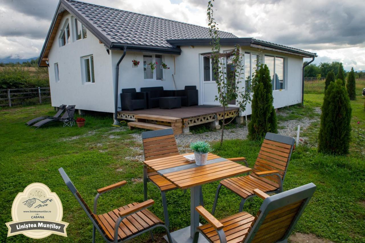 Linistea Muntilor Chalet 포룸바쿠 데 수스 외부 사진