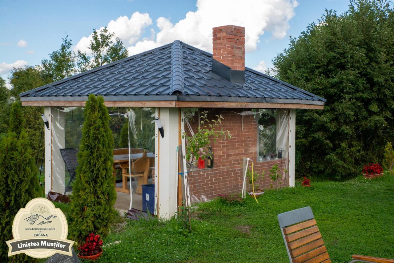 Linistea Muntilor Chalet 포룸바쿠 데 수스 외부 사진