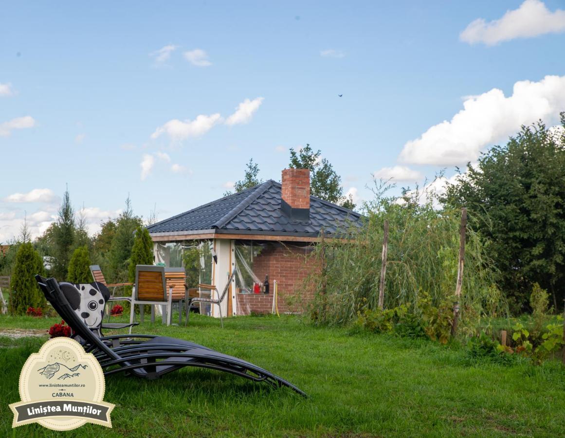 Linistea Muntilor Chalet 포룸바쿠 데 수스 외부 사진
