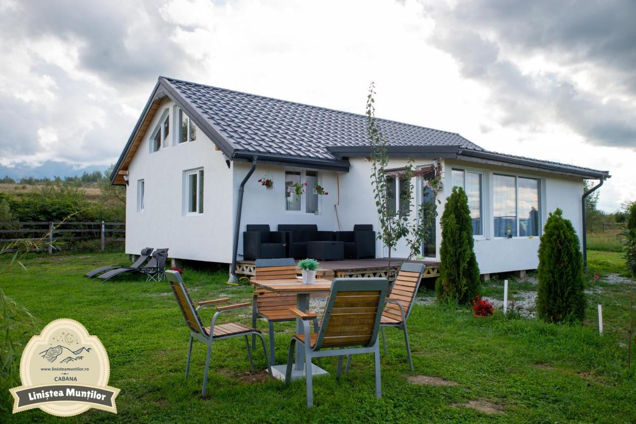Linistea Muntilor Chalet 포룸바쿠 데 수스 외부 사진