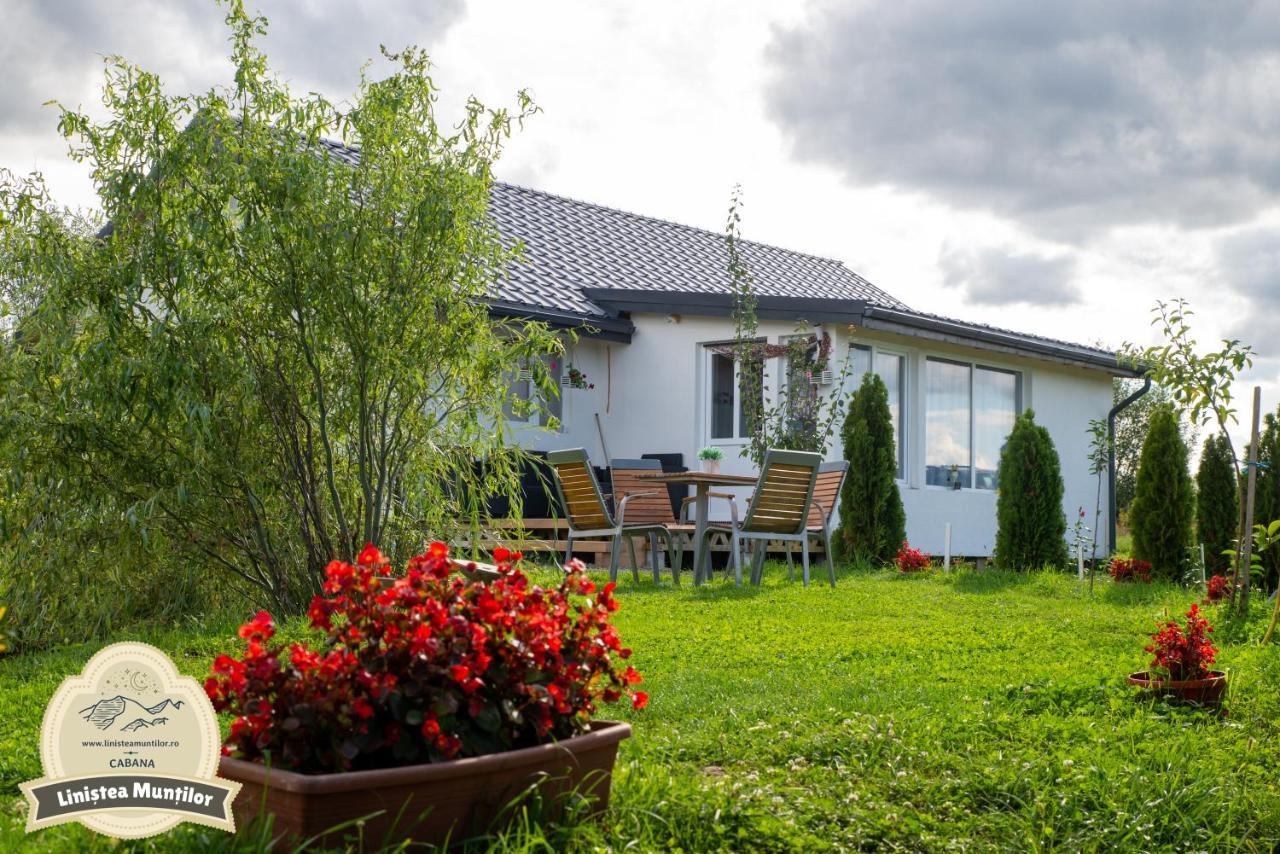 Linistea Muntilor Chalet 포룸바쿠 데 수스 외부 사진