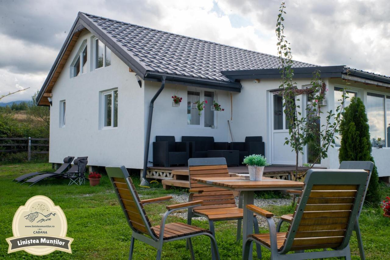 Linistea Muntilor Chalet 포룸바쿠 데 수스 외부 사진