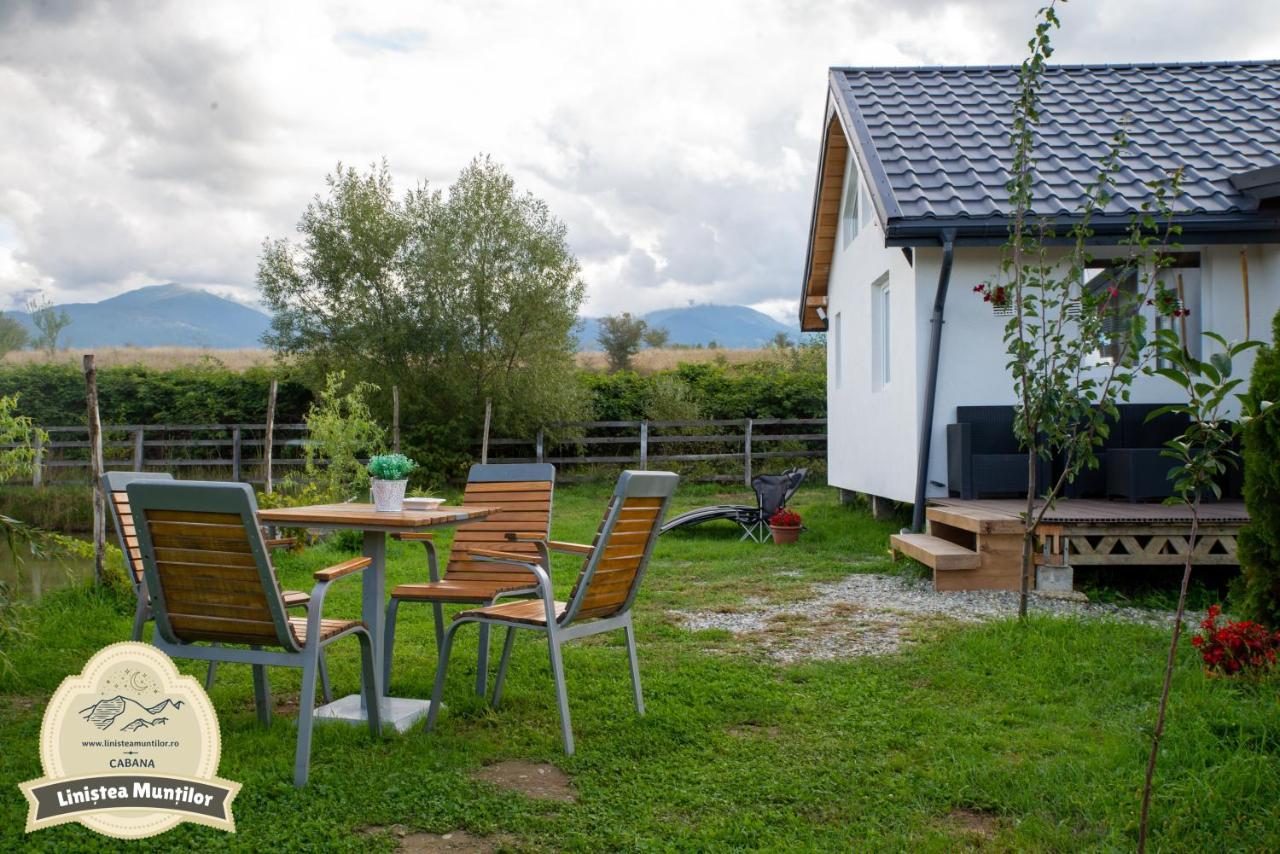Linistea Muntilor Chalet 포룸바쿠 데 수스 외부 사진